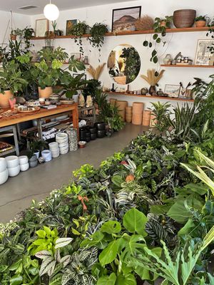 Public Land Store by null