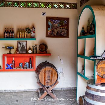 Obi Tours - Tours Near Me - Puerto Vallarta, JAL
