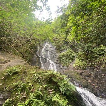 Adventure Guides Hawaii - Waterfall hike - Tours Near Me Adventure Guides Hawaii - Waterfall hike - Tours Near Me