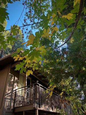 Yosemite Valley Lodge by null