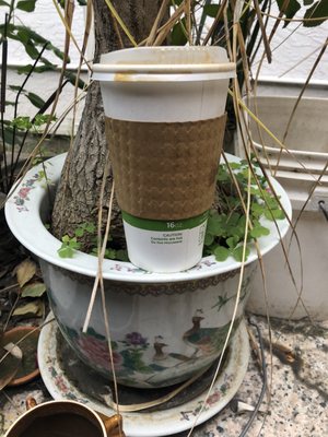 Red Bay Coffee Headquarters & Cafe by null