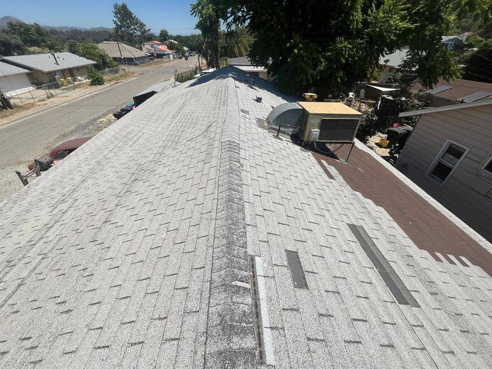 Slide of Oscar & Rosa