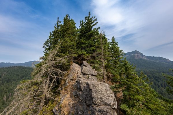Beacon Rock State Park by null