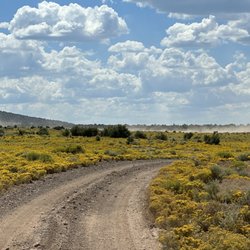 UTV Offroad Adventures