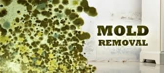 Dirty Deeds - mold inspector in Yukon, OK