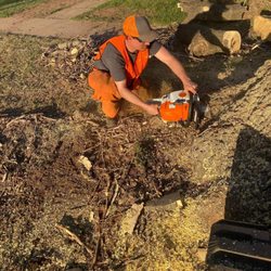 McClure's Tree Service