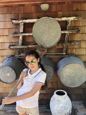 The Madoo Conservancy by null