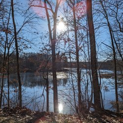 Dutchess County Rail Trail - 12/15/2023 - 58 degrees.
