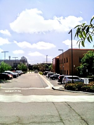 SAN DIEGO MIRAMAR COLLEGE - Updated January 2026 - 69 Photos & 90