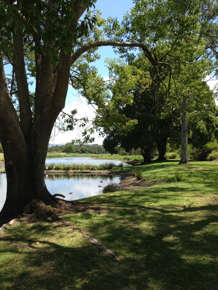 GOLD COAST REGIONAL BOTANIC GARDENS 232 Ashmore Rd, Gold Coast