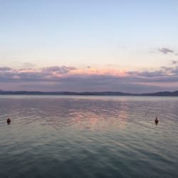 Darsena Live Music - Lakeview