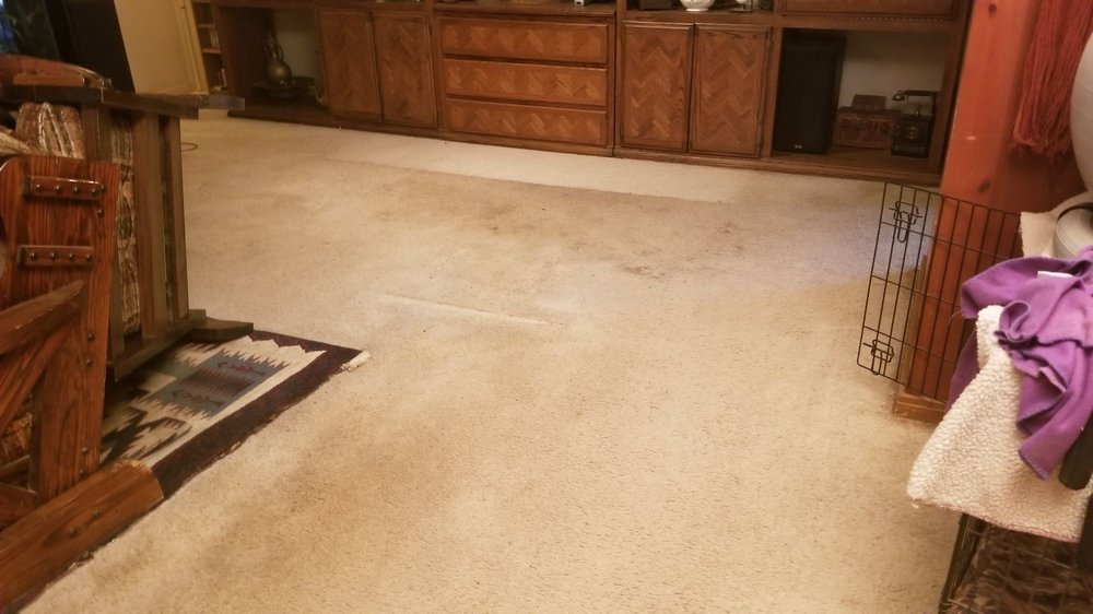 ECO CLEAN SURFACE CARE Updated August 2024 56 Photos & 13 Reviews