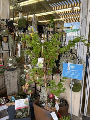 Armstrong Garden Centers by null