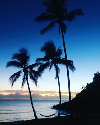Turtle Cove Beach Resort - BYO Food/Drinks - Adults Only Space - Cairns/Port Douglas by null