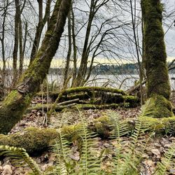Saint Edward State Park