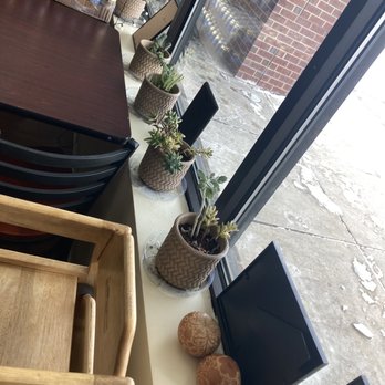 Sanguche - Cactus trying hard to create Peruvian atmosphere??? - Peruvian Near Me - Naperville, Illinois