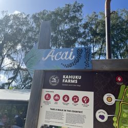 Cocoa House at Kahuku Farms - A little information about Açaí posting on property for anyone interested in knowing about it