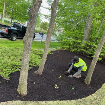 Strong Arm Services - Landscaping Near Me - Wauwatosa, Wisconsin Strong Arm Services - Landscaping Near Me - Wauwatosa, Wisconsin
