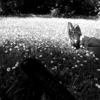 Eugene Masonic Cemetery - Relaxing in the meadow. - Funeral Services & Cemeteries Near Me - Eugene, Oregon Eugene Masonic Cemetery - Relaxing in the meadow. - Funeral Services & Cemeteries Near Me - Eugene, Oregon