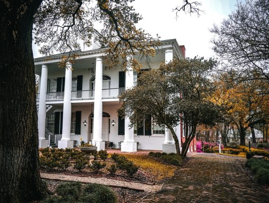 Rosalie Mansion and Gardens by null