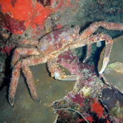 Lehigh Valley Dive Center