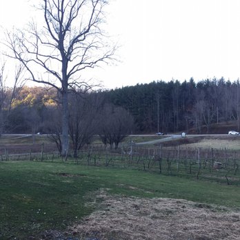 Hightower Creek Vineyards - Wine Tasting Room Near Me - Hiawassee, Georgia