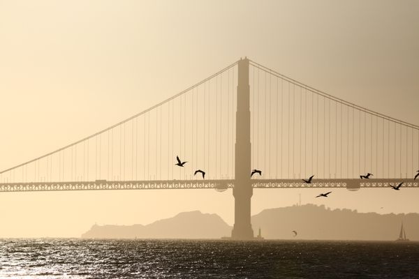 Golden Gate Bridge by null