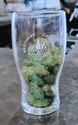 Brothers Cascadia Brewing by null