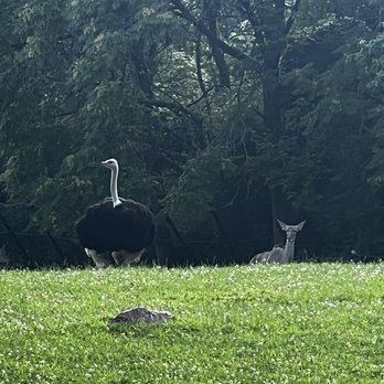 Indianapolis Zoo - Zoos Near Me - Indianapolis, Indiana