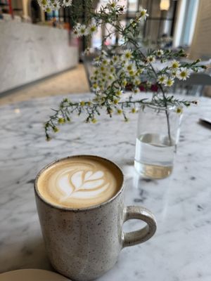 General Porpoise by null General Porpoise by null