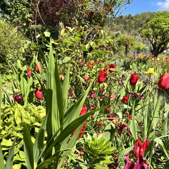 Jardins et Maison de Claude Monet - Museums Near Me - Giverny, 27