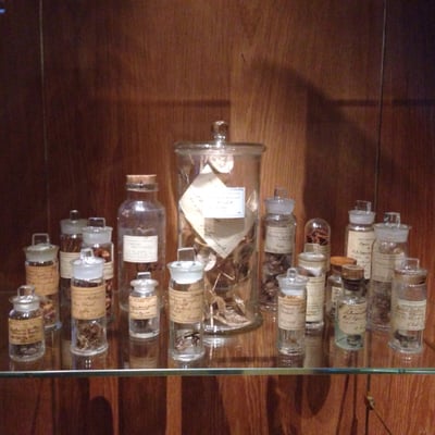 Gustavianum - Uppsala University Museum by null