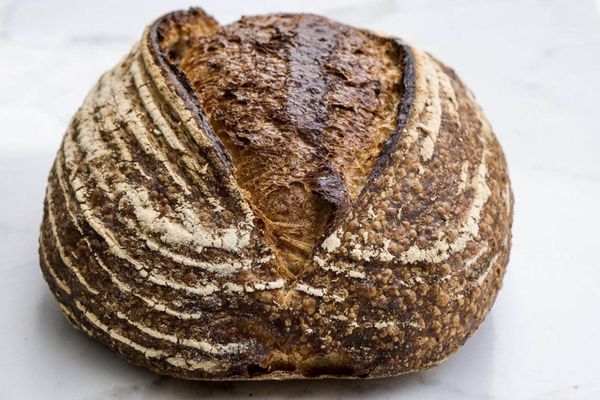 Manresa Bread by null