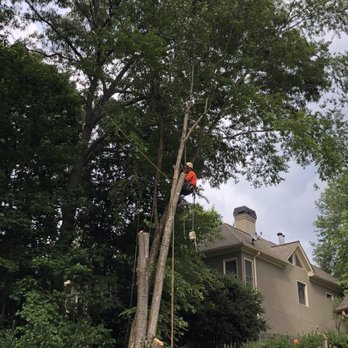 LTRC-Tree Specialists - Tree Removal - Tree Services Near Me - Alpharetta, Georgia