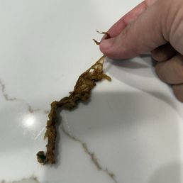 Weird slimy object in the fried rice