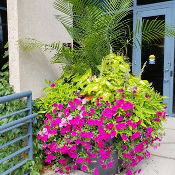 Acres Group - Pot plantings! - Landscaping Near Me - Plainfield, Illinois