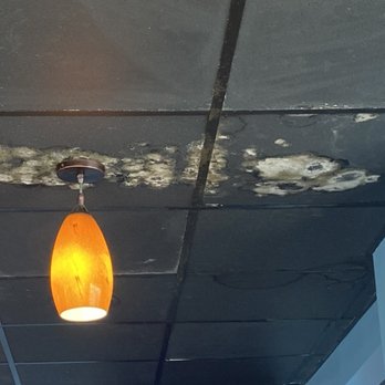 45th Street Taphouse - Mold above indoor bar area. - American Near Me - Ocean City, Maryland 45th Street Taphouse - Mold above indoor bar area. - American Near Me - Ocean City, Maryland