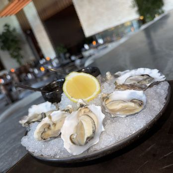Kauboi - Oysters - Whiskey Bars Near Me - Scottsdale, Arizona Kauboi - Oysters - Whiskey Bars Near Me - Scottsdale, Arizona