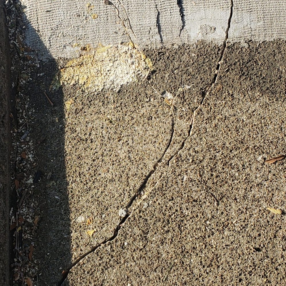 Adam's Tree - Observed damages by Adam's Tree Services (walkway) - Tree Services Near Me - Schnecksville, Pennsylvania Adam's Tree - Observed damages by Adam's Tree Services (walkway) - Tree Services Near Me - Schnecksville, Pennsylvania