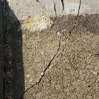Adam's Tree - Observed damages by Adam's Tree Services (walkway) - Tree Services Near Me - Schnecksville, Pennsylvania Adam's Tree - Observed damages by Adam's Tree Services (walkway) - Tree Services Near Me - Schnecksville, Pennsylvania