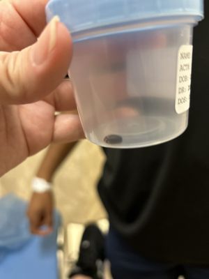 Sreekrishna Donepudi, MD