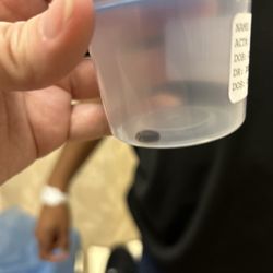 Sreekrishna Donepudi, MD - Said bean