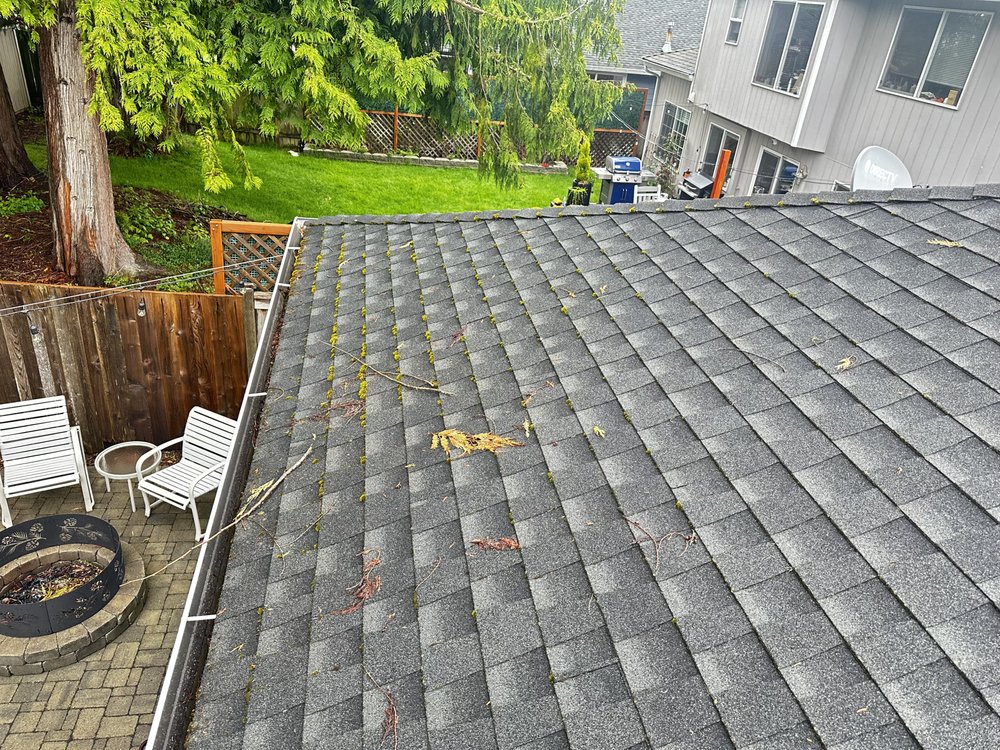 Slide of Apex Pro Kleening