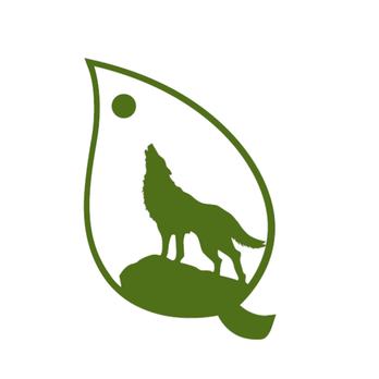 Meraki Head Spa - Hair Salons Near Me - Richardson, Texas
