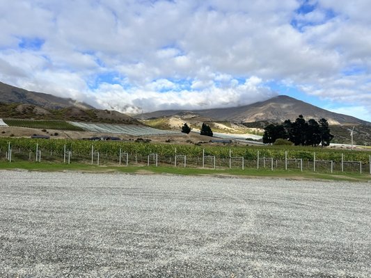 Peregrine Wines by null