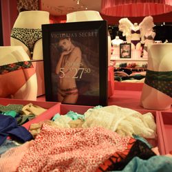 Victoria's Secret & PINK - Super awesome sale.