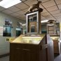 Photo of Guttenberg Fish Hatchery