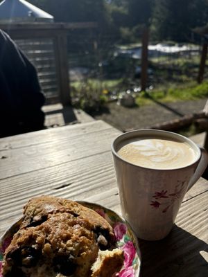 Lightwave Coffee & Kitchen by null