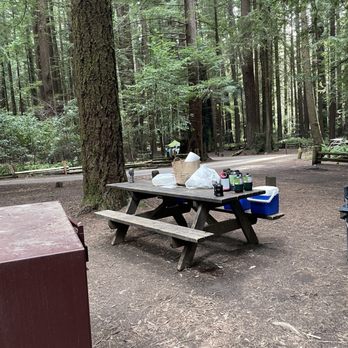 Burlington Campground - Picnic tables and bear bin - Campgrounds Near Me - Weott, California