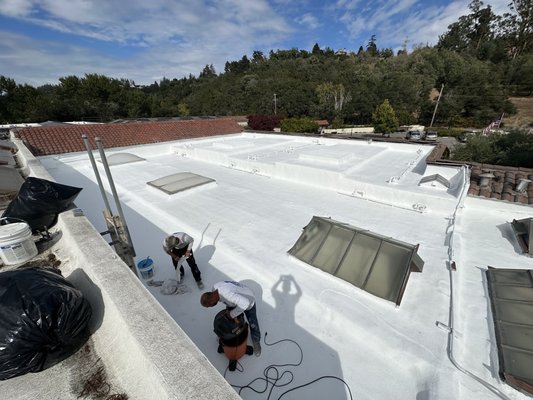 Cricket Roofing Services